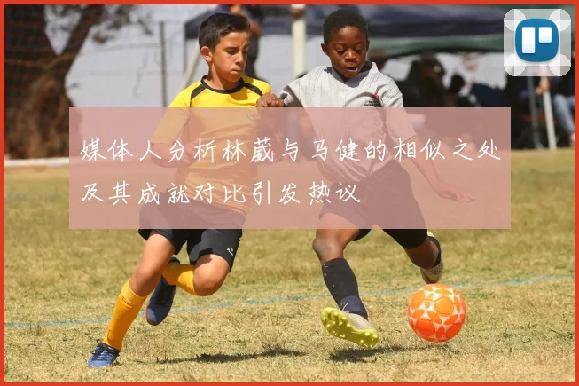 媒体人分析林葳与马健的相似之处及其成就对比引发热议