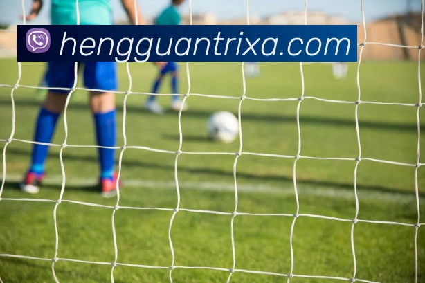 恒冠体育发展历程